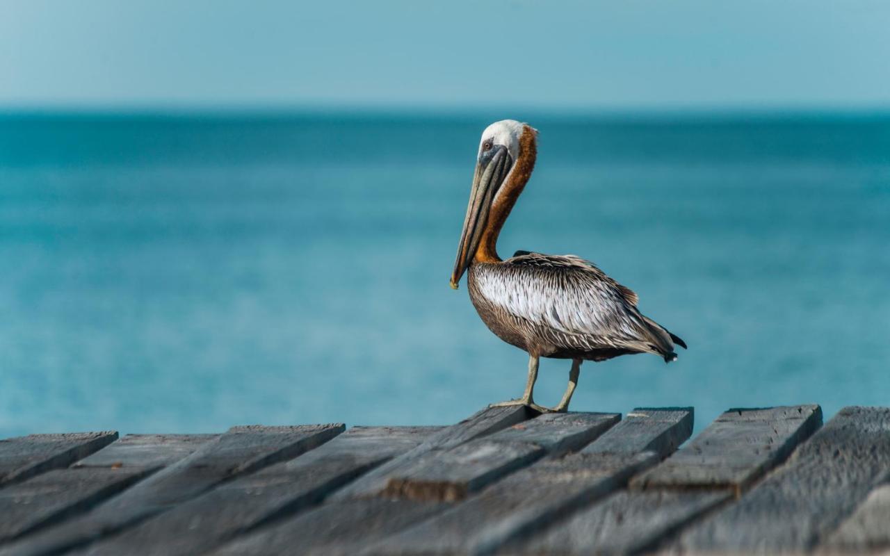 Hotel Isla Palma Reserva Natural Экстерьер фото