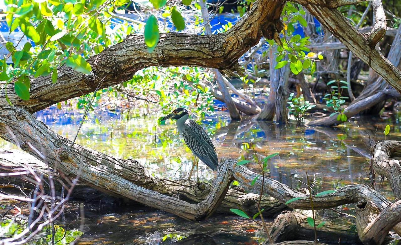 Hotel Isla Palma Reserva Natural Экстерьер фото