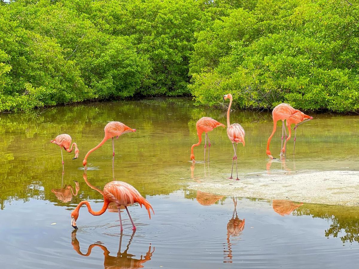 Hotel Isla Palma Reserva Natural Экстерьер фото